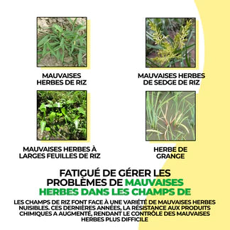 Herbicide au glyphosate à haute concentration