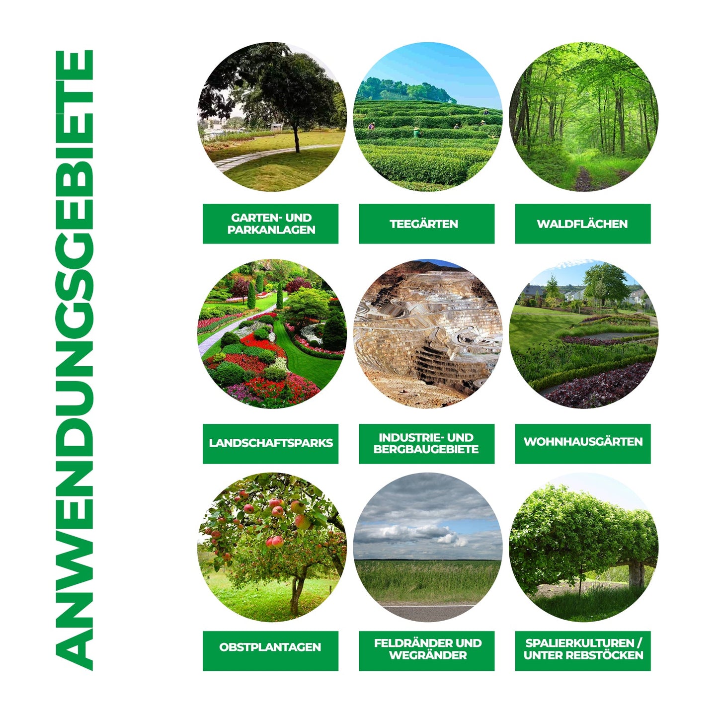 Glyphosat 41 % – Gesamtes systemisches Herbizid