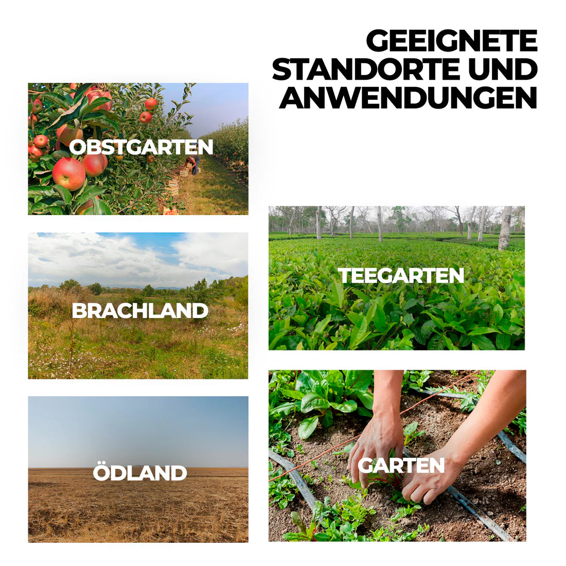 Hochkonzentriertes Glyphosat-Herbizid