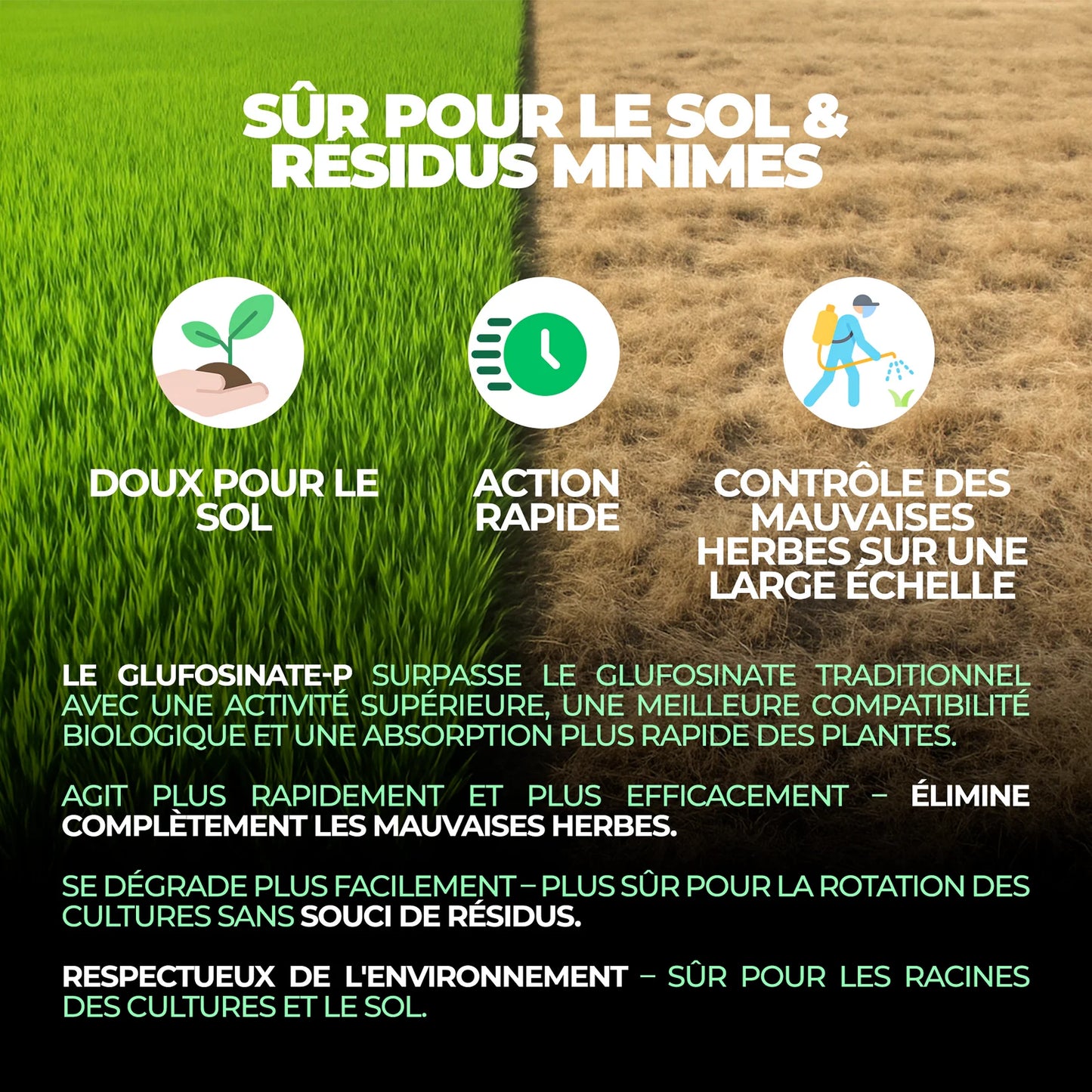 Herbicide au glyphosate à haute concentration