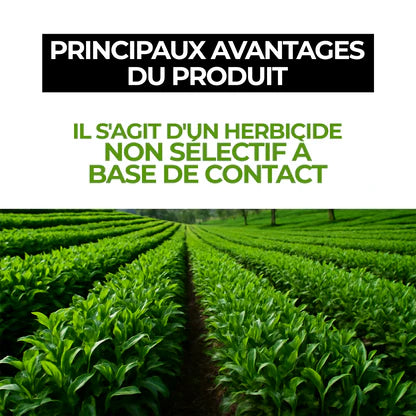 Herbicide au glyphosate à haute concentration