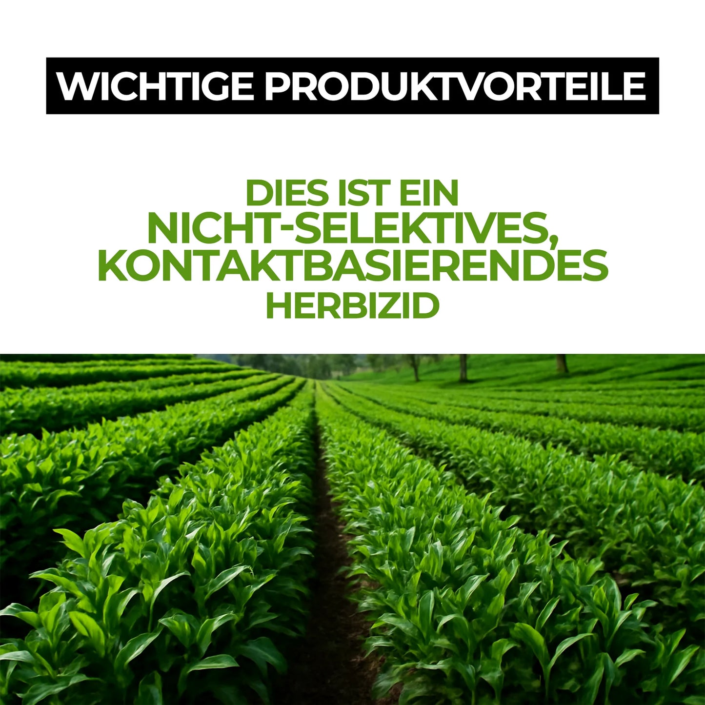 Hochkonzentriertes Glyphosat-Herbizid 