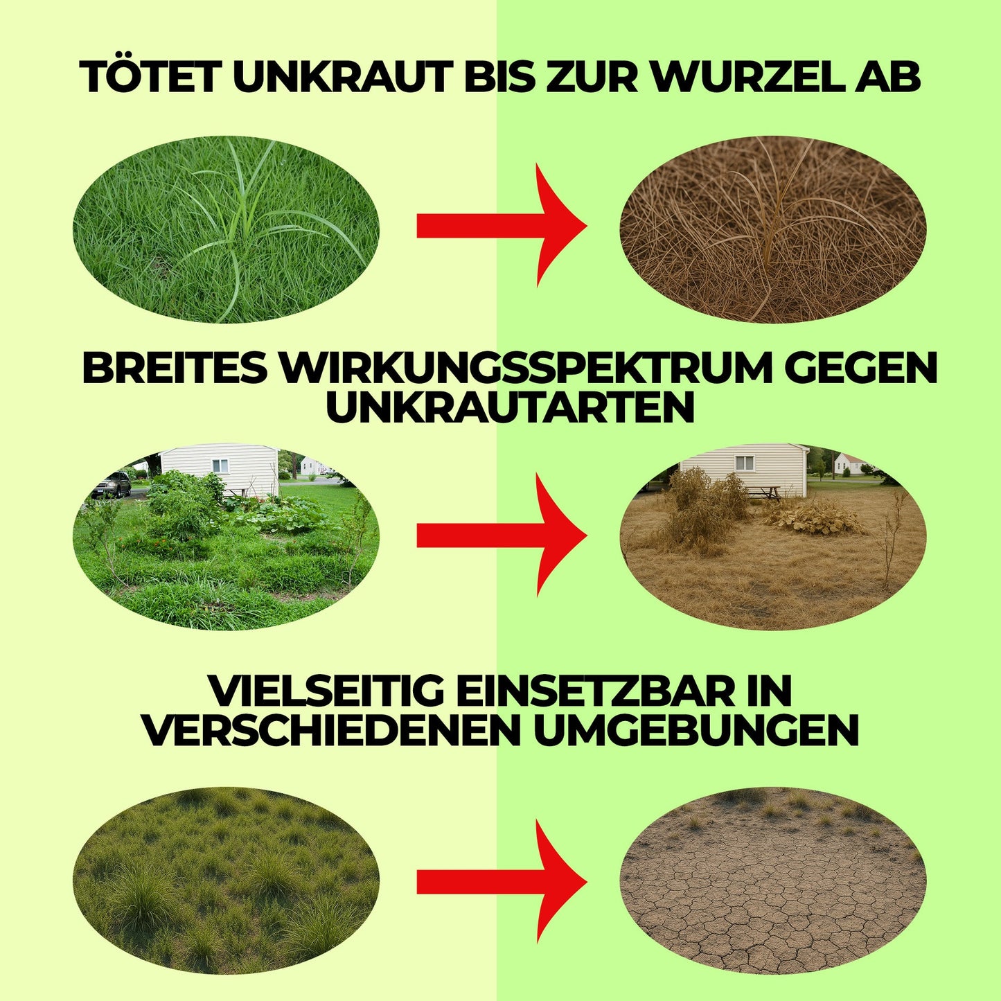 Glyphosat 41 % – Gesamtes systemisches Herbizid 